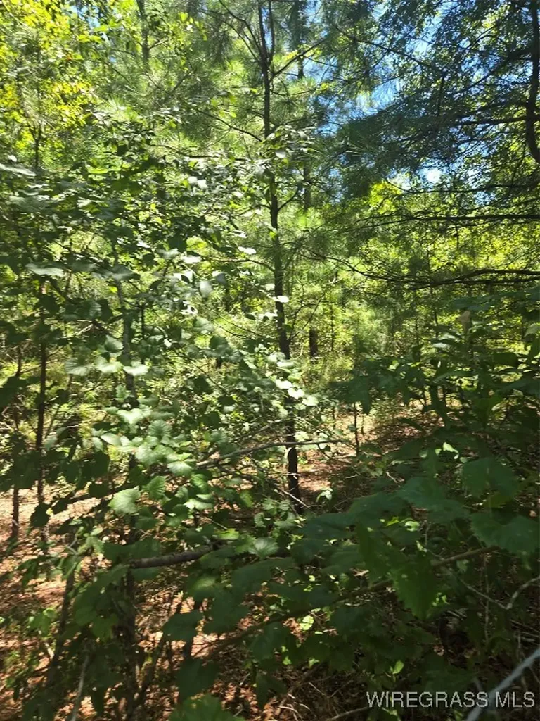 0 County Road 26 Hope Hull AL 36043