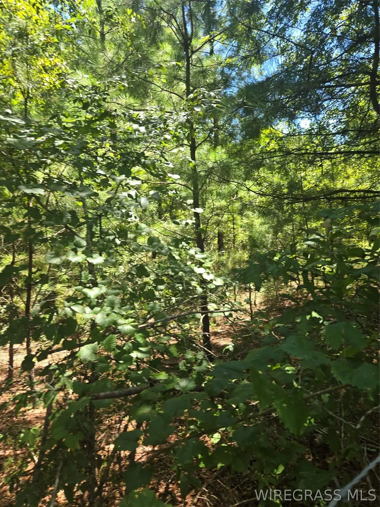 0 County Road 26 Hope Hull AL 36043