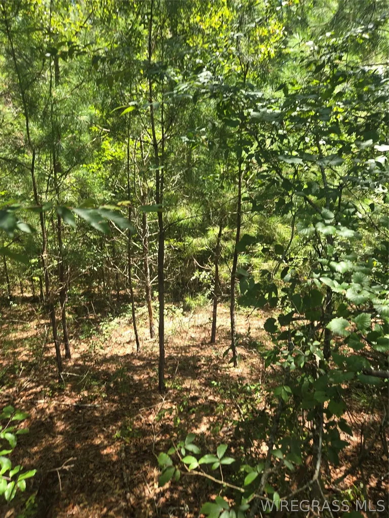 0 County Road 26 Hope Hull AL 36043