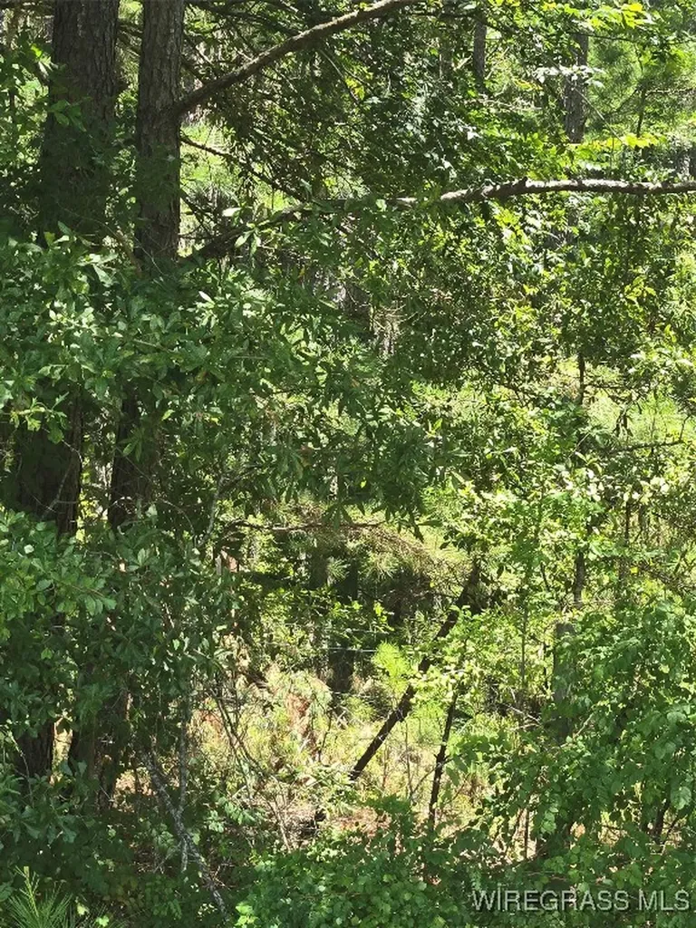 0 County Road 26 Hope Hull AL 36043