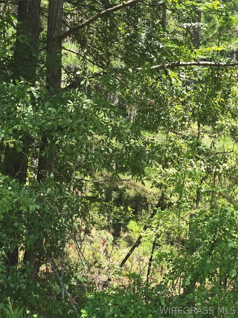 0 County Road 26 Hope Hull AL 36043