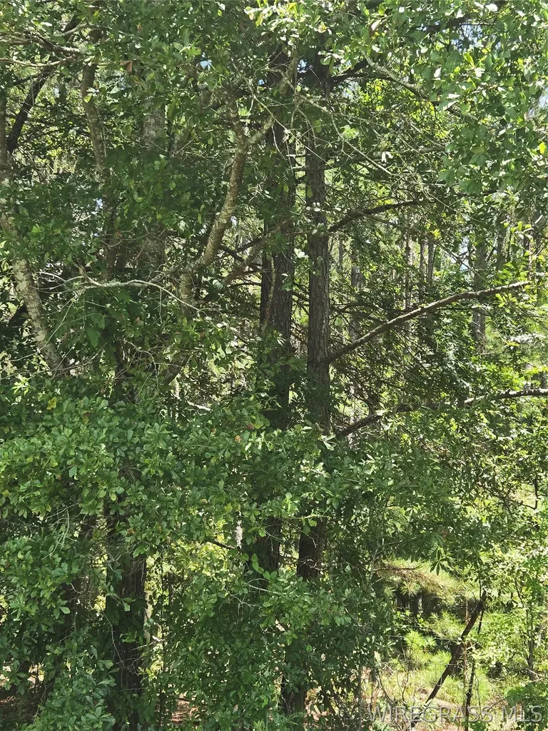 0 County Road 26 Hope Hull AL 36043