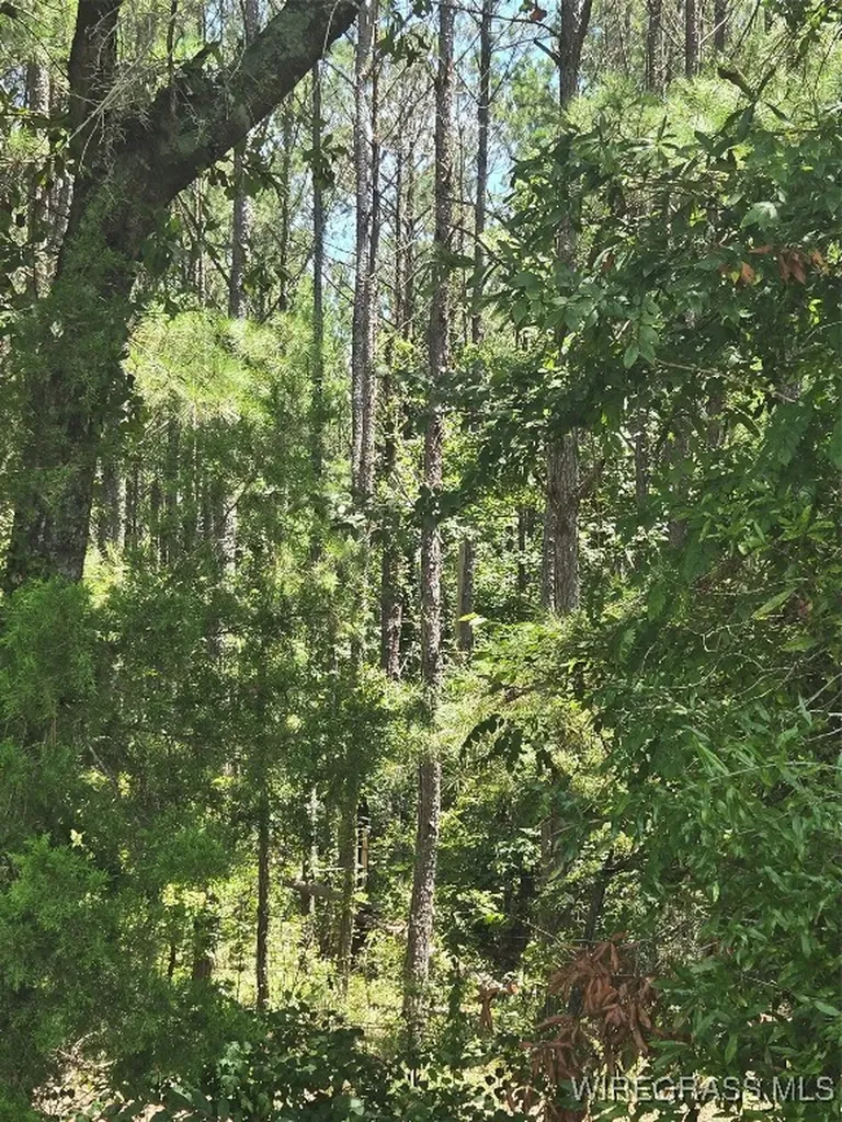 0 County Road 26 Hope Hull AL 36043