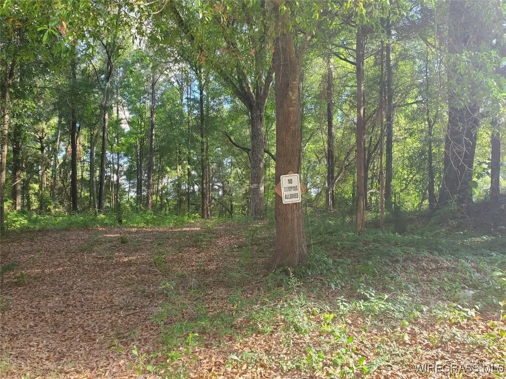 2 Parker Road Ozark AL 36360