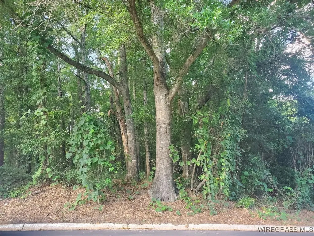 2 Parker Road Ozark AL 36360