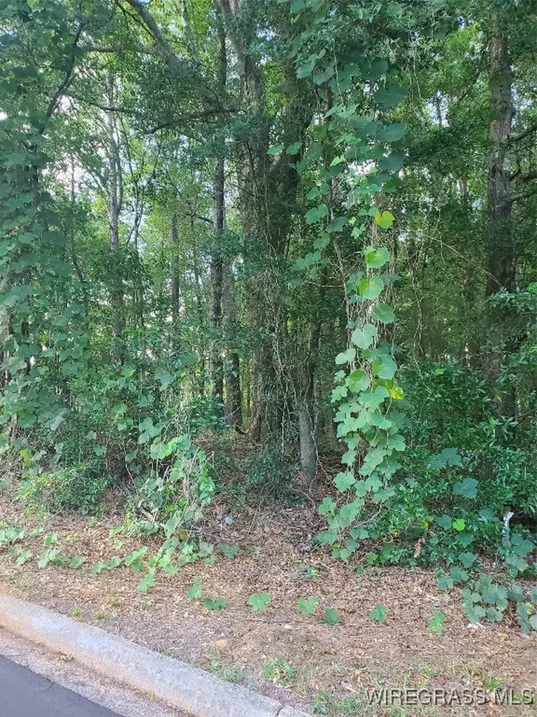 2 Parker Road Ozark AL 36360