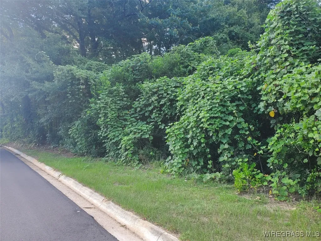 2 Parker Road Ozark AL 36360