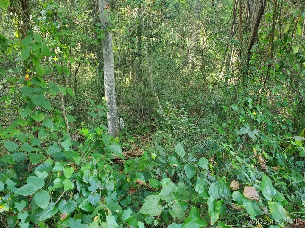 2 Parker Road Ozark AL 36360