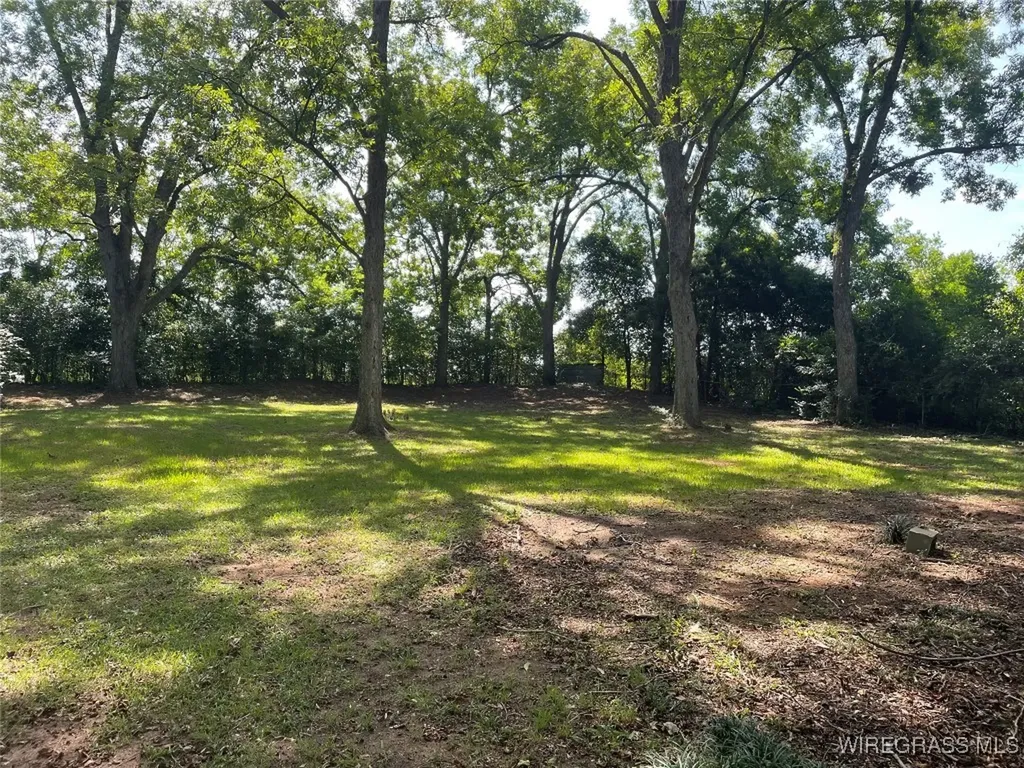 2414 County Road 1 Daleville AL 36322