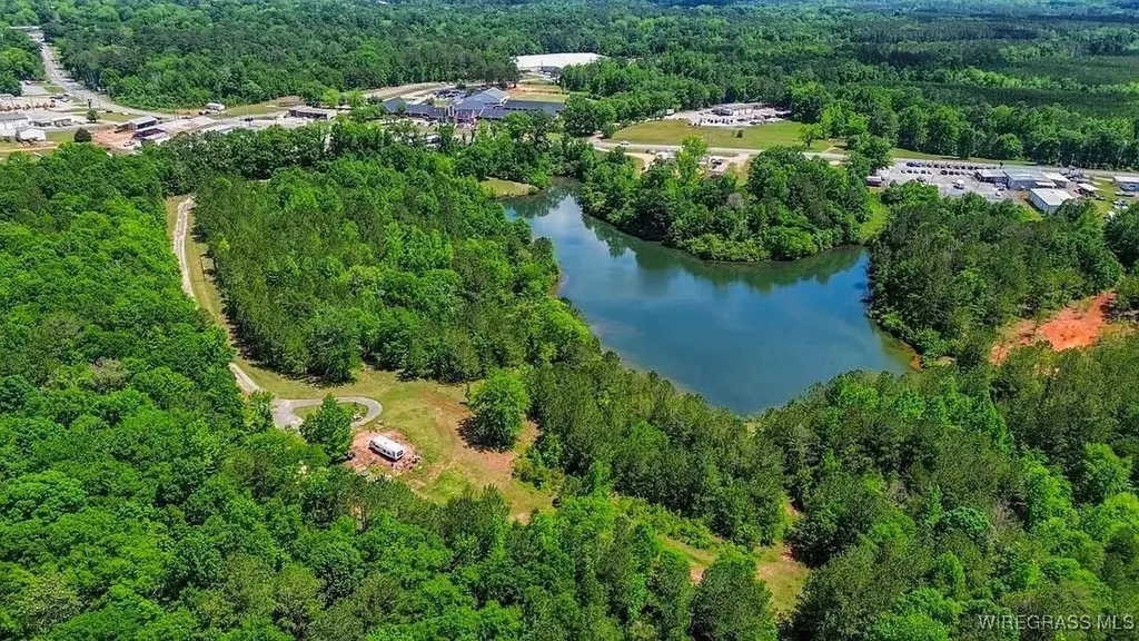 0 Loree Road Evergreen AL 36401