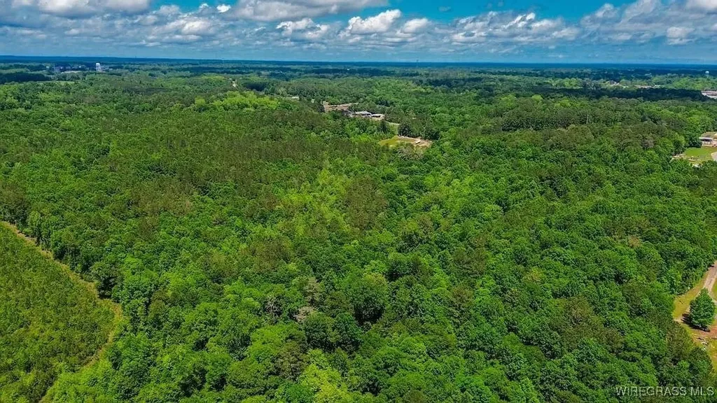 0 Loree Road Evergreen AL 36401