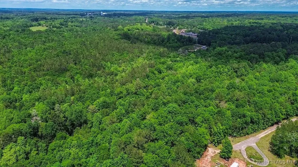 0 Loree Road Evergreen AL 36401