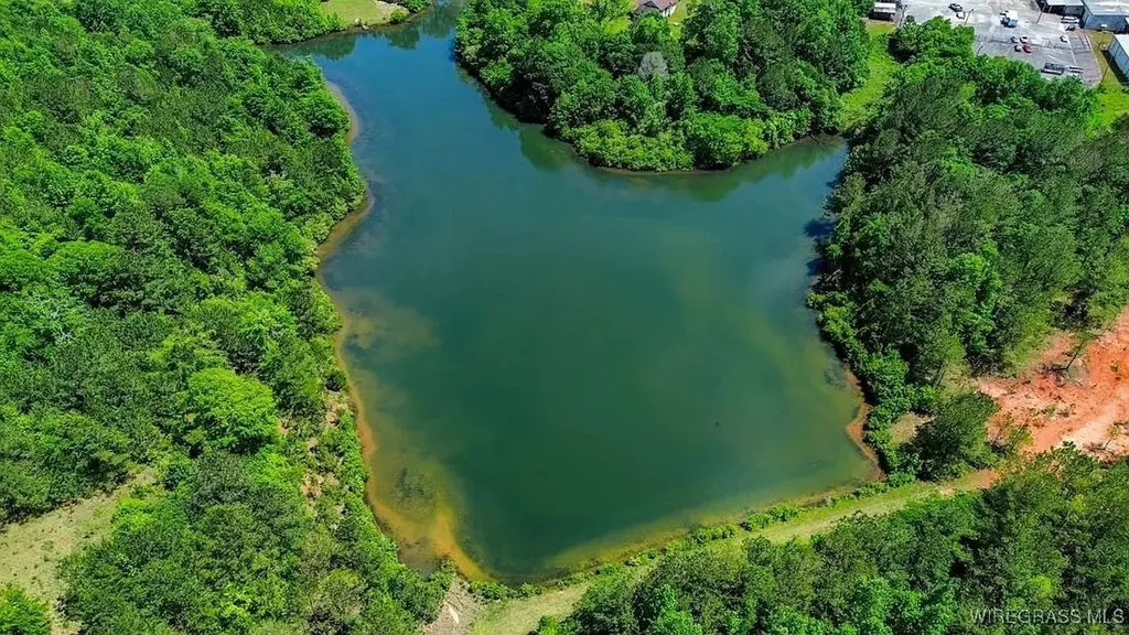 0 Loree Road Evergreen AL 36401