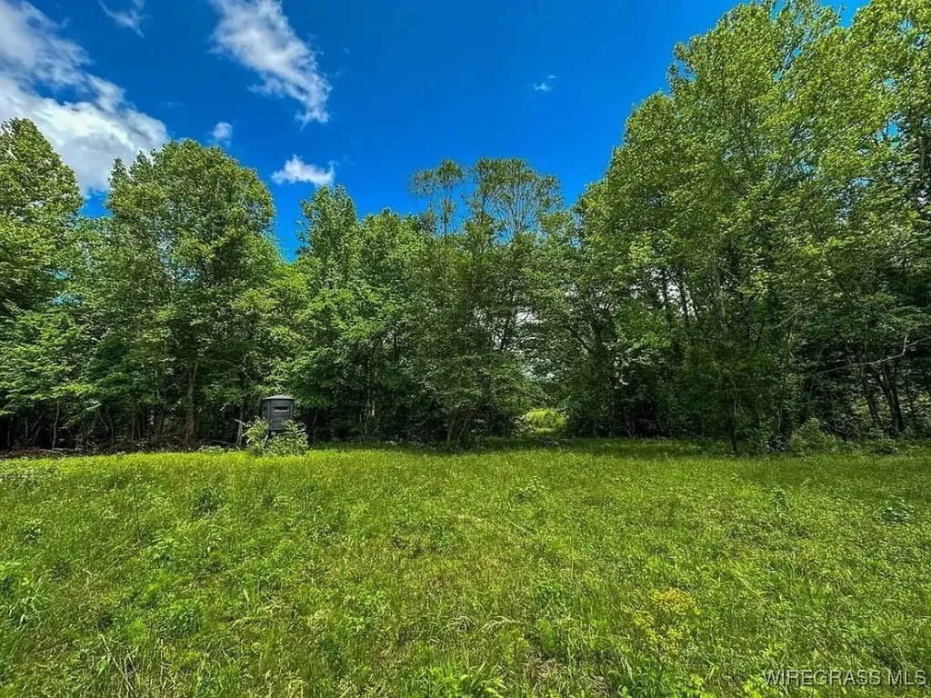 0 Loree Road Evergreen AL 36401