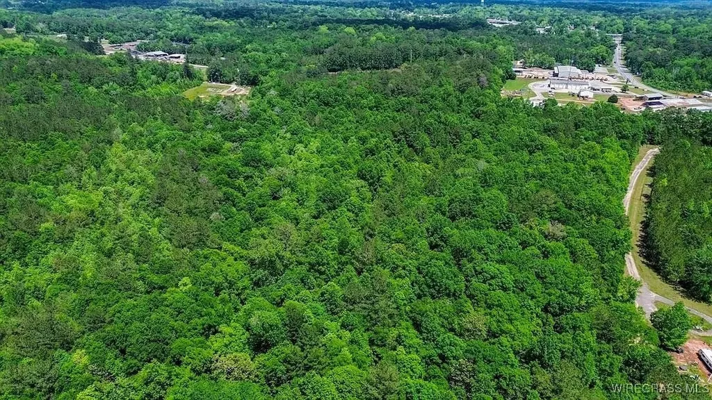 0 Loree Road Evergreen AL 36401