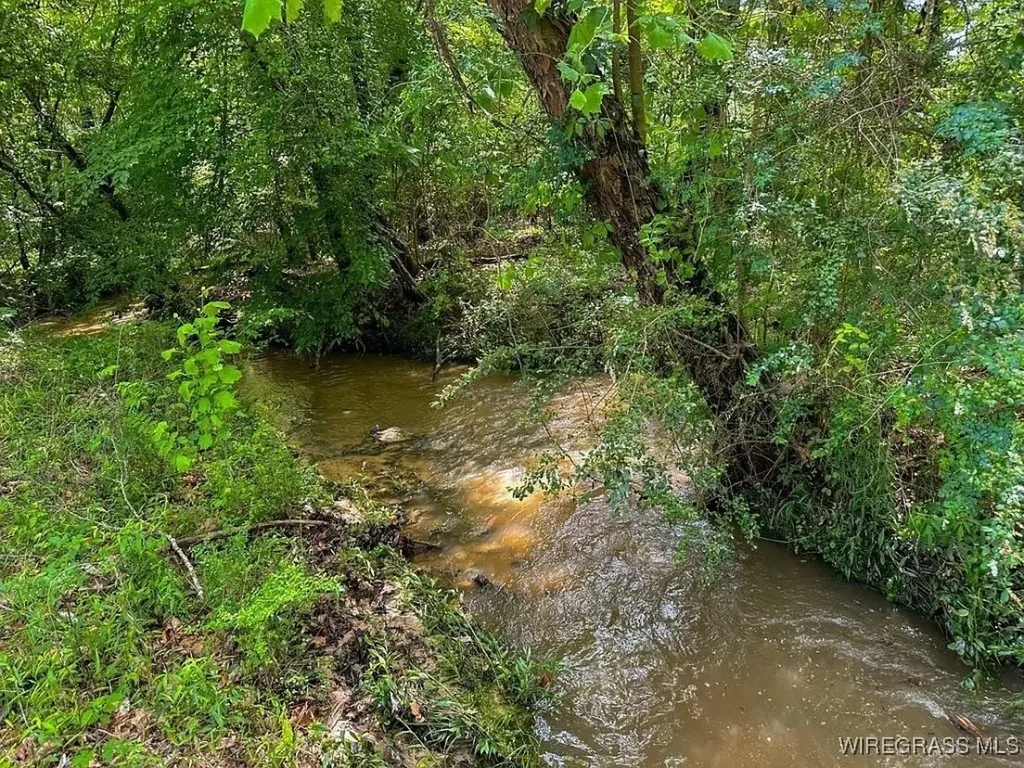 0 Loree Road Evergreen AL 36401