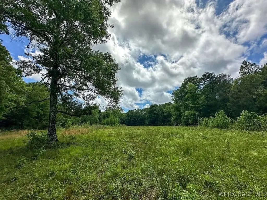 0 Loree Road Evergreen AL 36401