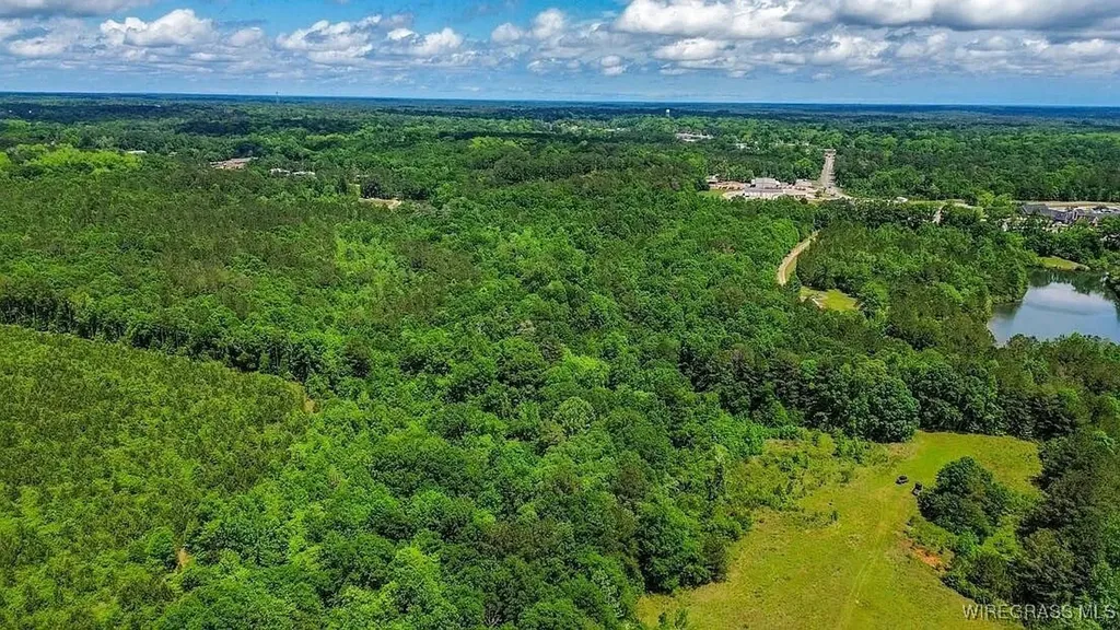 0 Loree Road Evergreen AL 36401