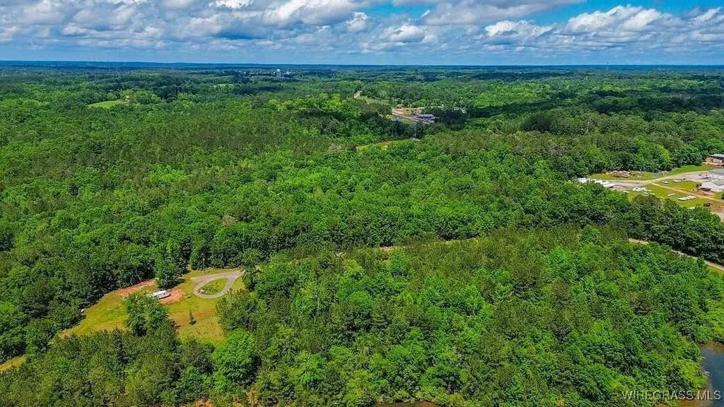 0 Loree Road Evergreen AL 36401