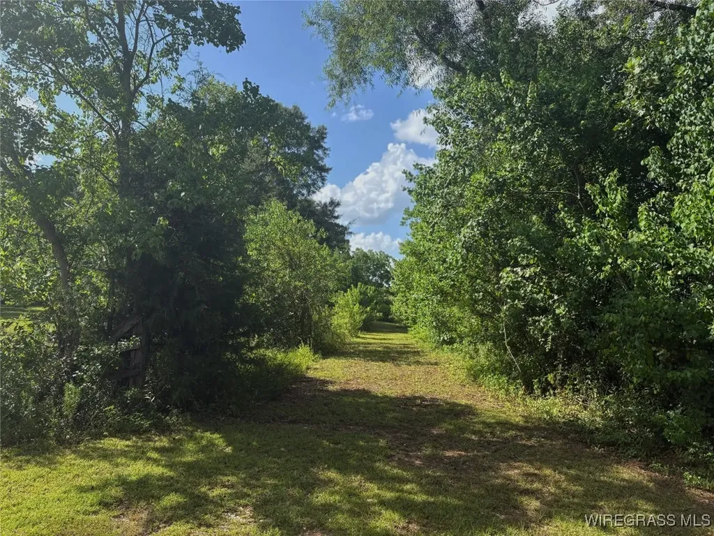 19106 Haggarty Farm Lane Andalusia AL 36421
