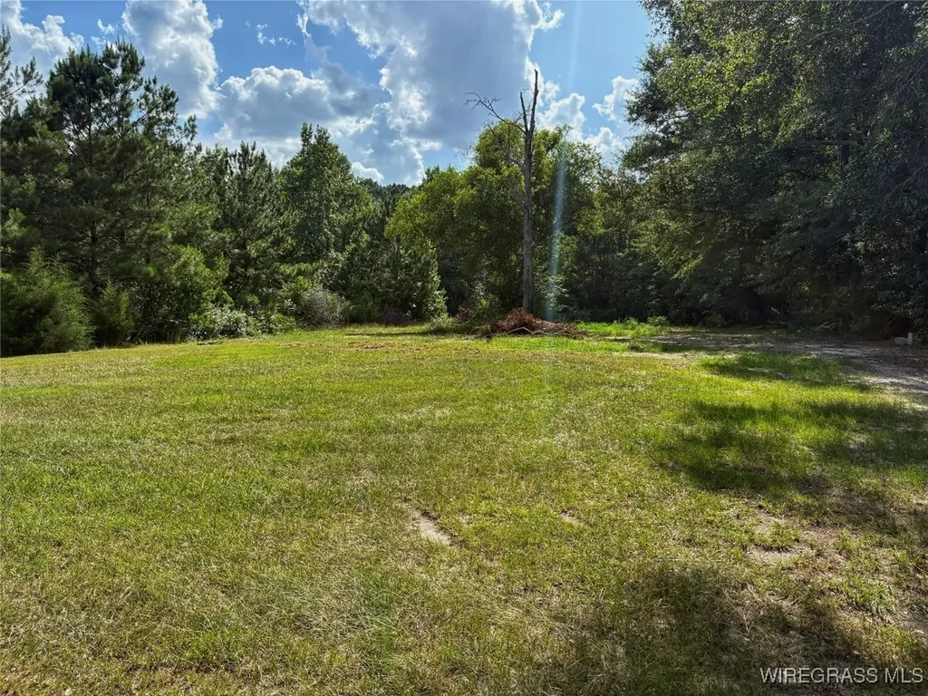 19106 Haggarty Farm Lane Andalusia AL 36421