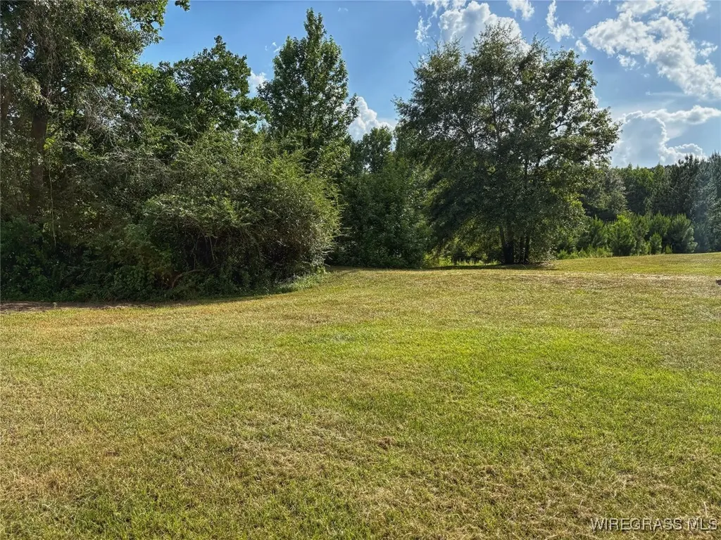 19106 Haggarty Farm Lane Andalusia AL 36421