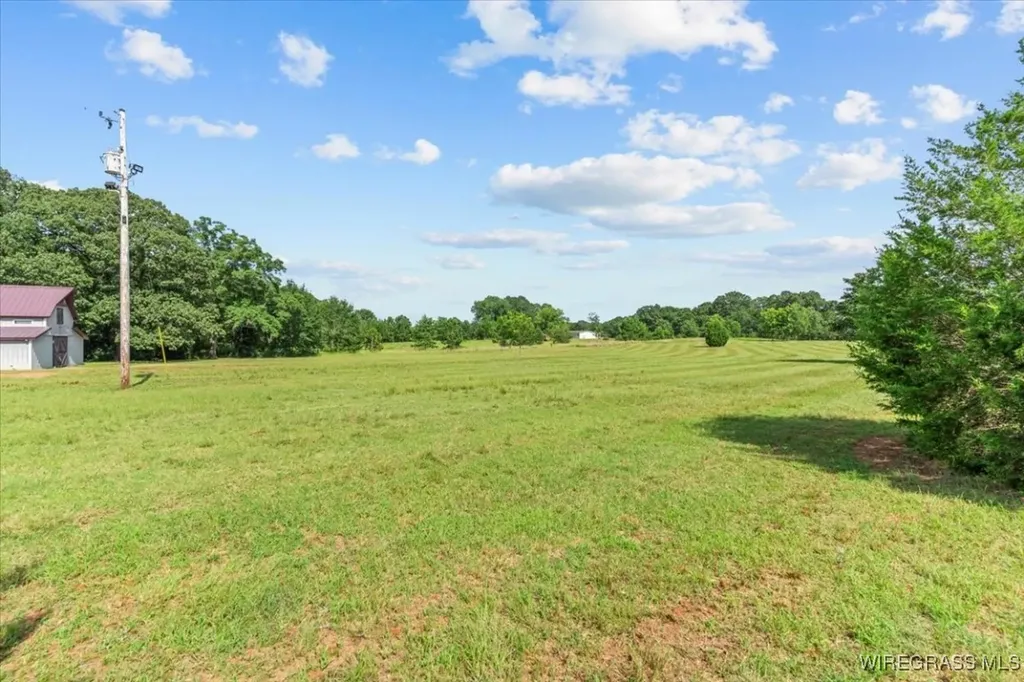 9 County Road 517 Elba AL 36323