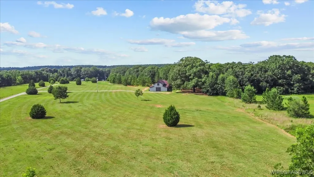 9 County Road 517 Elba AL 36323