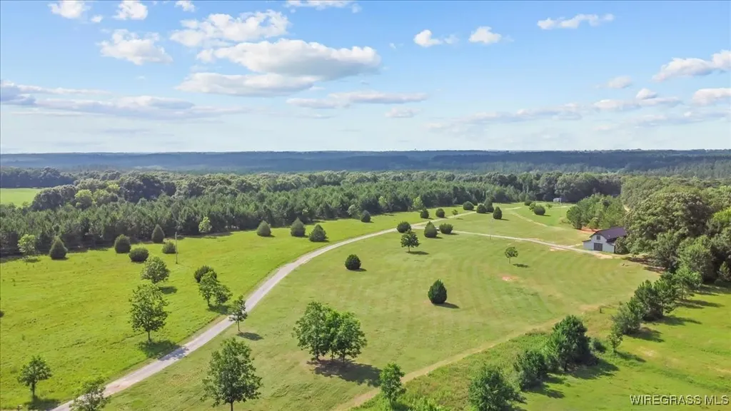 9 County Road 517 Elba AL 36323