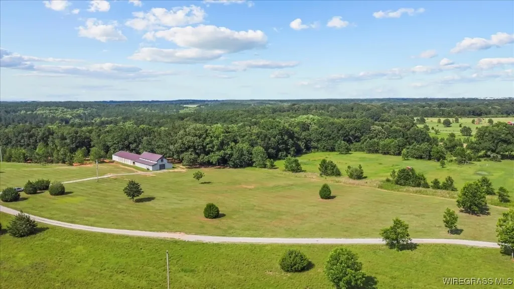 9 County Road 517 Elba AL 36323