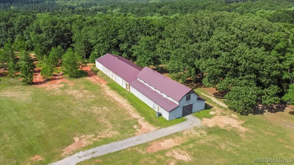 9 County Road 517 Elba AL 36323