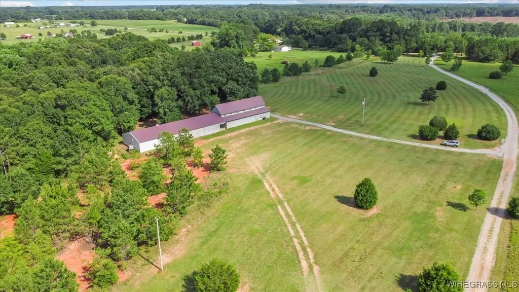 9 County Road 517 Elba AL 36323