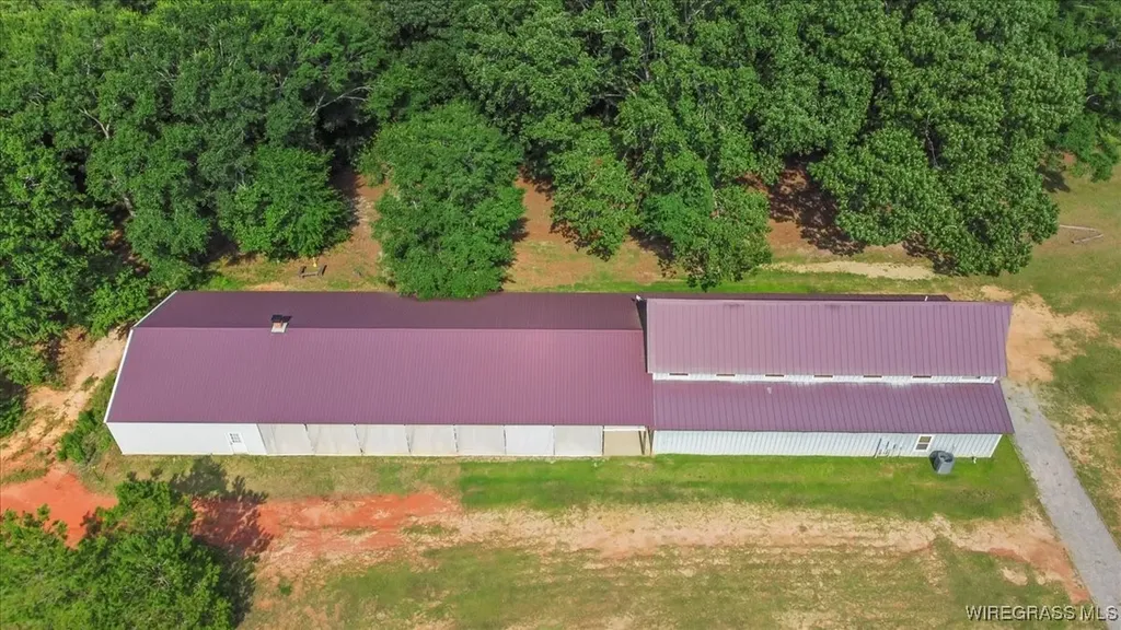 9 County Road 517 Elba AL 36323