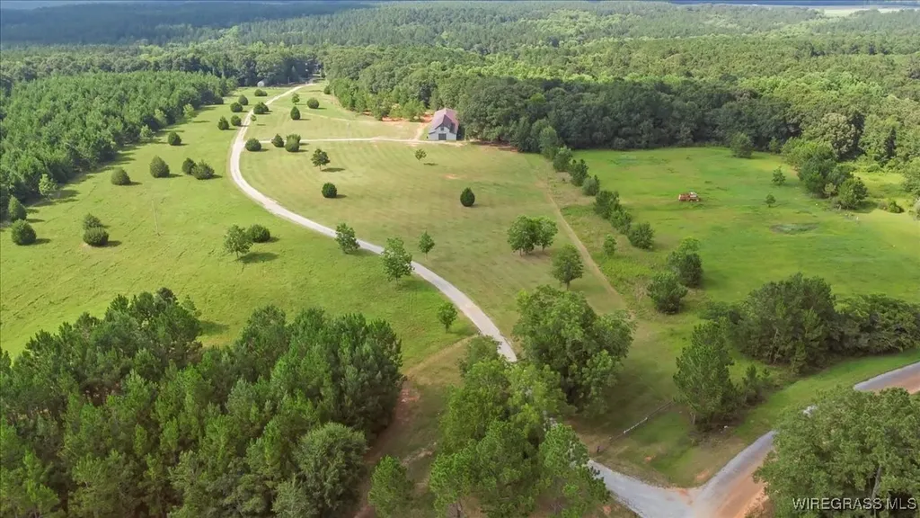 9 County Road 517 Elba AL 36323