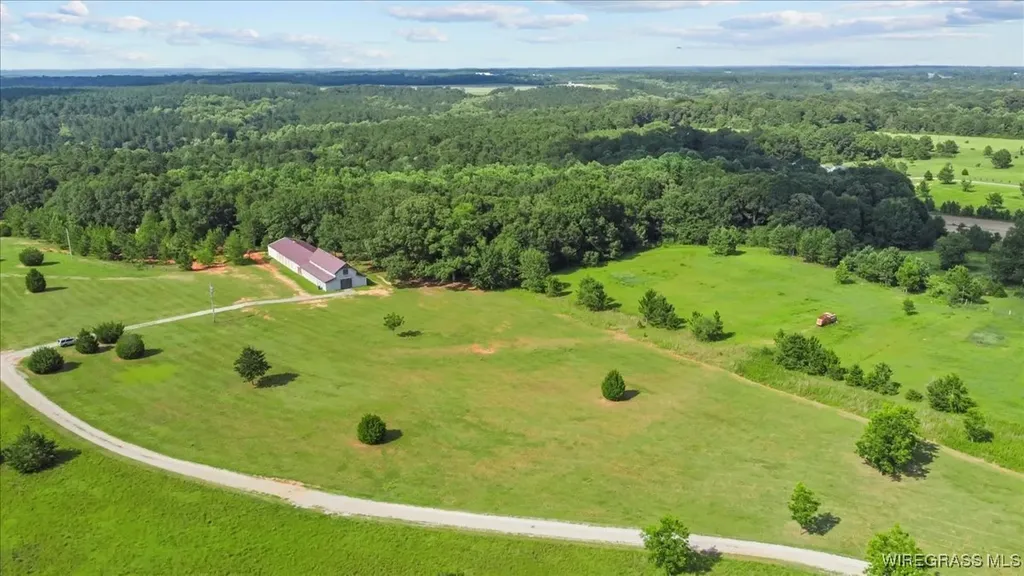 9 County Road 517 Elba AL 36323