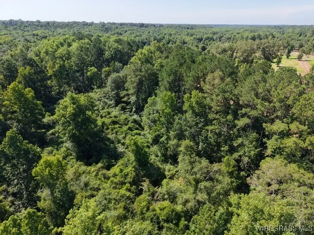 17903 Highway 134 Enterprise AL 36330