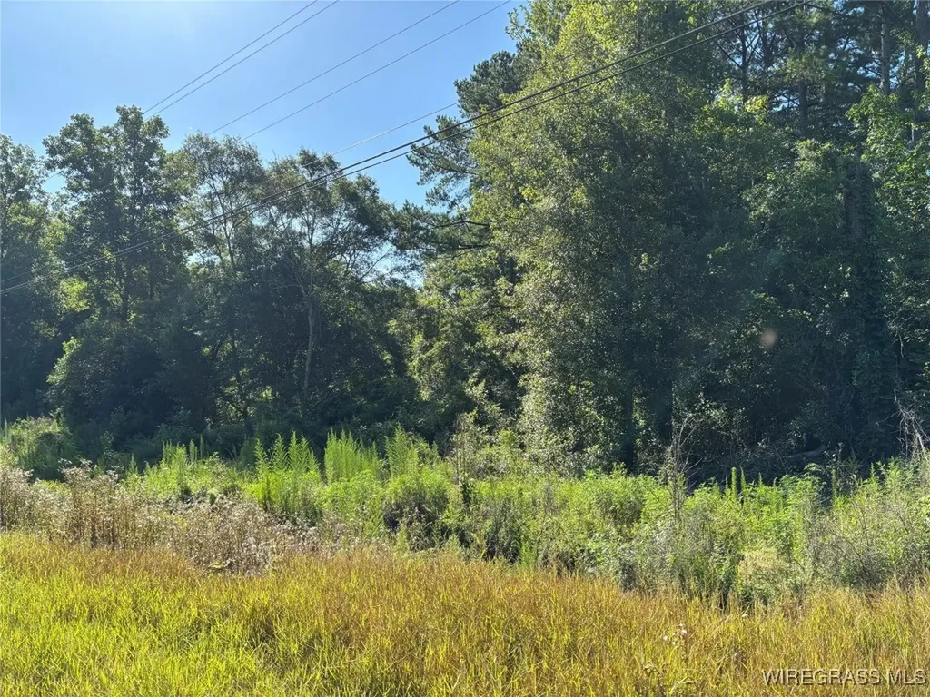 17903 Highway 134 Enterprise AL 36330