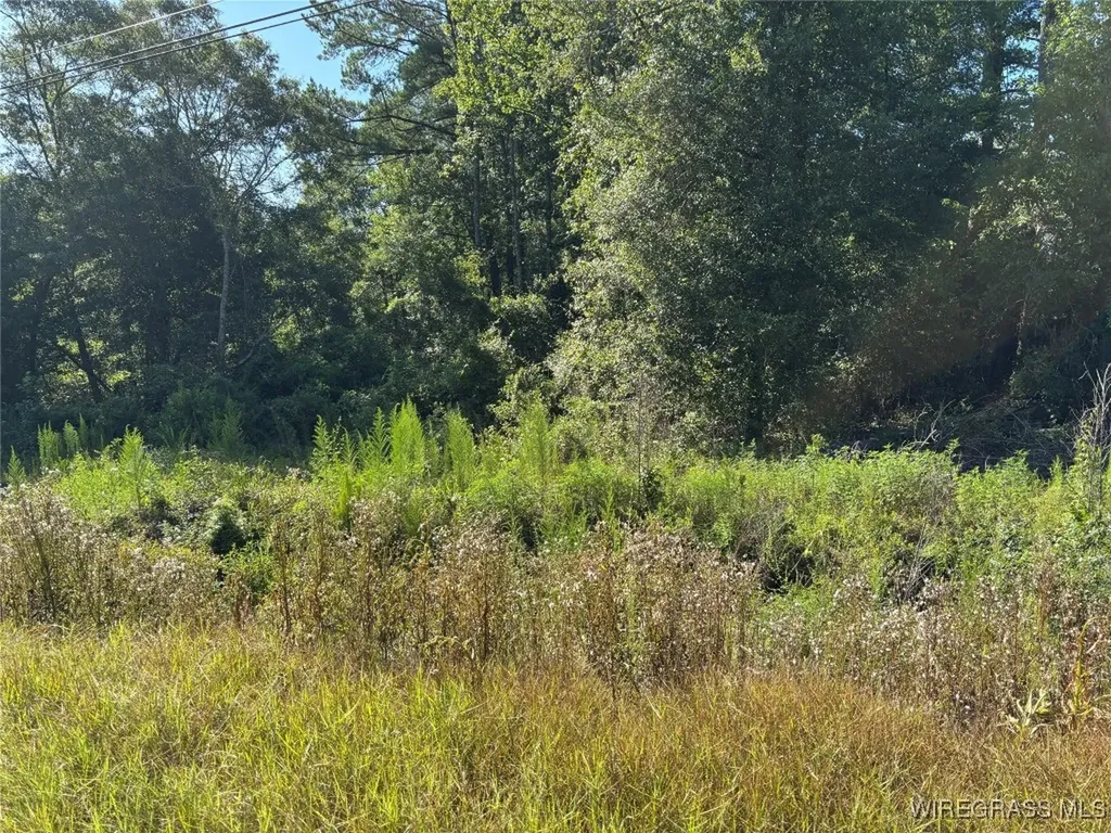 17903 Highway 134 Enterprise AL 36330