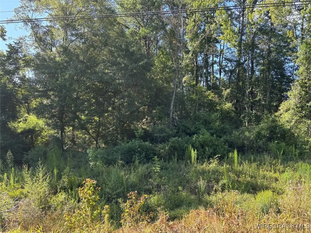 17903 Highway 134 Enterprise AL 36330