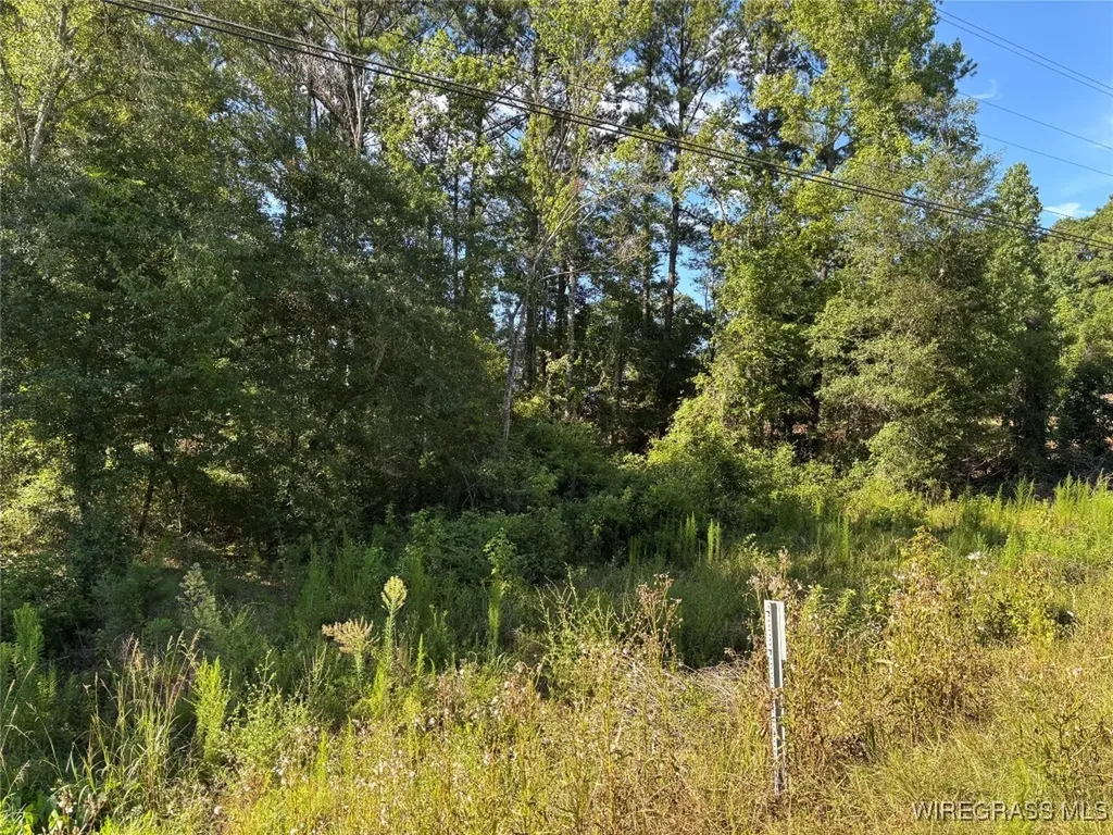 17903 Highway 134 Enterprise AL 36330