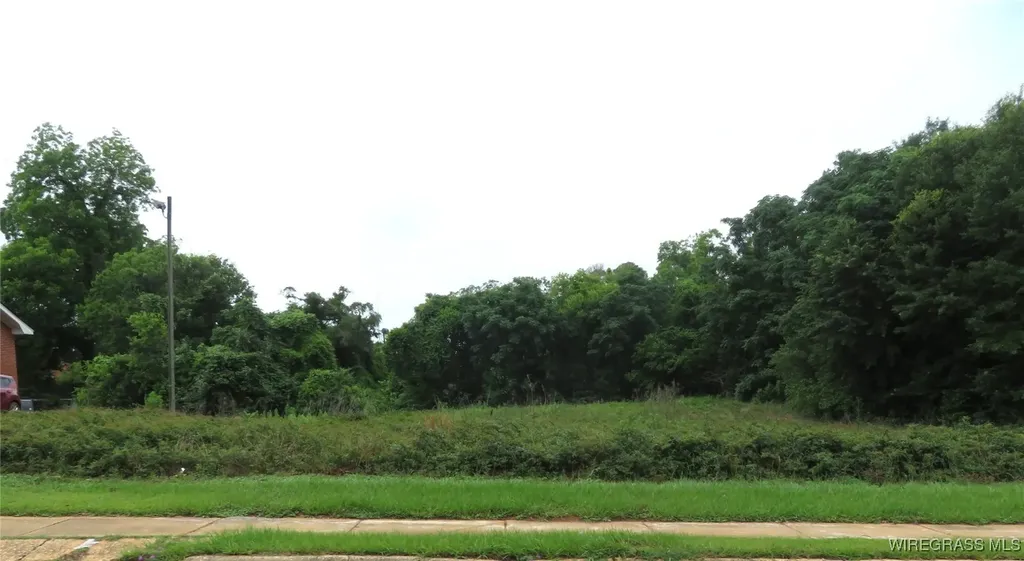 0 E Lee Street Enterprise AL 36330