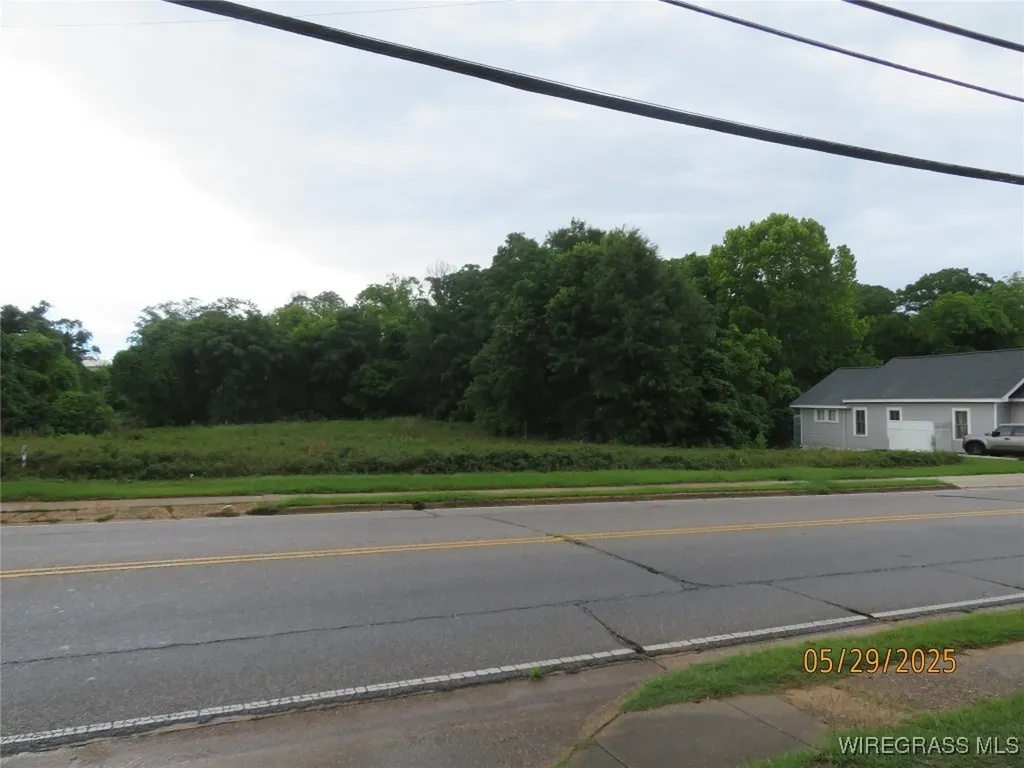 0 E Lee Street Enterprise AL 36330