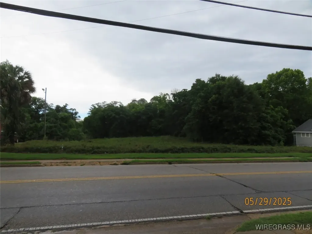 0 E Lee Street Enterprise AL 36330