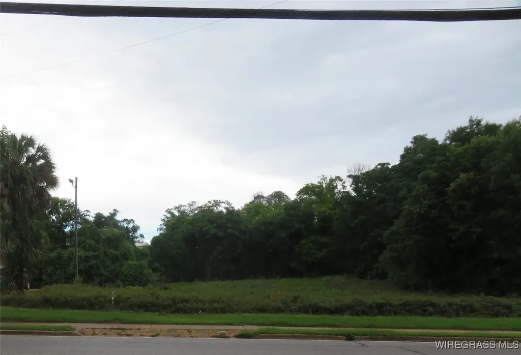 0 E Lee Street Enterprise AL 36330