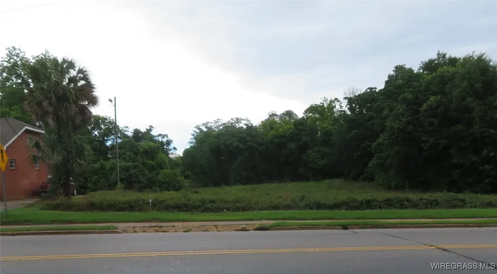 0 E Lee Street Enterprise AL 36330