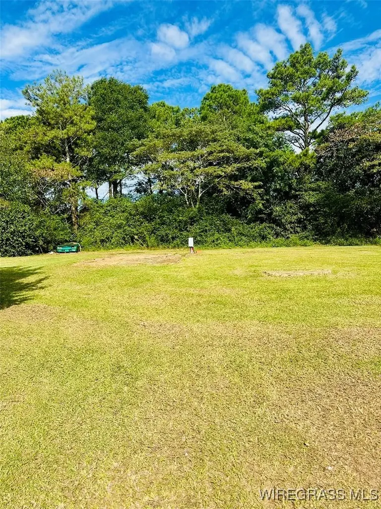 715 N John Street New Brockton AL 36351