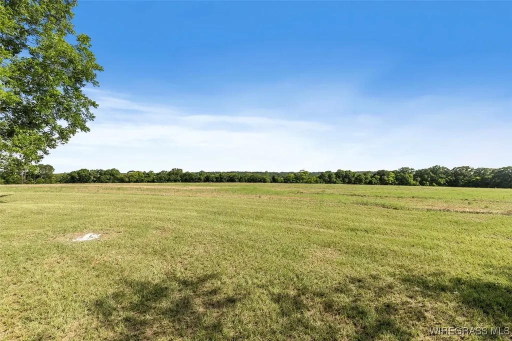 216 Private Road 1428 Enterprise AL 36330