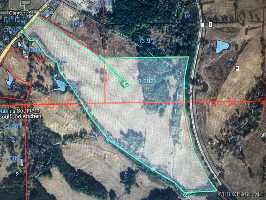 0 S Main Street Brundidge AL 36010