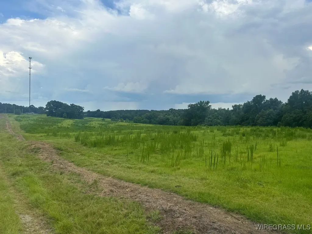 0 S Main Street Brundidge AL 36010