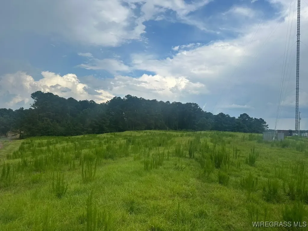 0 S Main Street Brundidge AL 36010